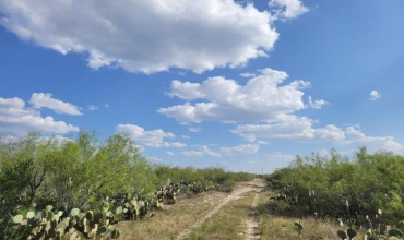 000 Sal si Puedes, Laredo, Texas 78044, ,Land,For Sale,000 Sal si Puedes,20234284