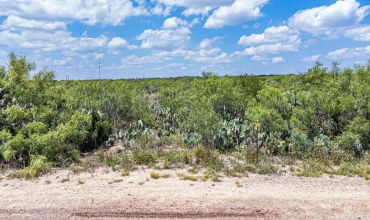 Los Mesquites Rd, Laredo, Texas 78041, ,Land,For Sale,Los Mesquites Rd,20241179