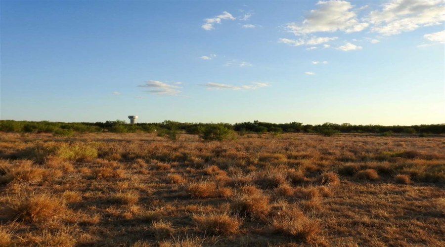 3614 Lomas Del Sur Blvd., Laredo, Texas 78046, ,Land,For Sale,3614 Lomas Del Sur Blvd.,20241659