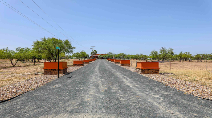 1273 Ben Silva Rd., ASHERTON, Texas 78827, ,Land,For Sale,1273 Ben Silva Rd.,20243205