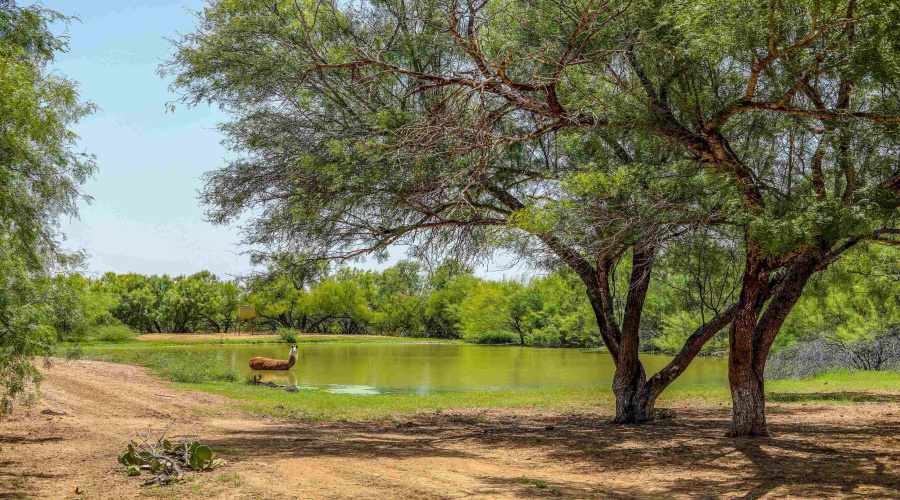 1273 Ben Silva Rd., ASHERTON, Texas 78827, ,Land,For Sale,1273 Ben Silva Rd.,20243205