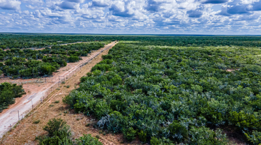 25998 State Hwy 359, Bruni, Texas 78344, 1 Bedroom Bedrooms, ,3 BathroomsBathrooms,Commercial/industrial,For Sale,25998 State Hwy 359,20250301