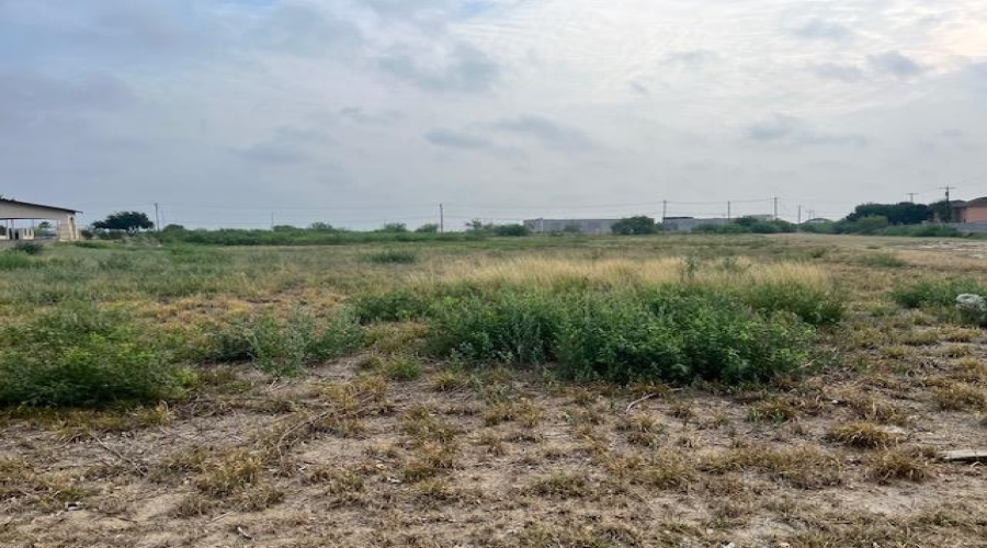 1414 Jacaman Rd, Laredo, Texas 78041, ,Land,For Sale,1414 Jacaman Rd,20250320