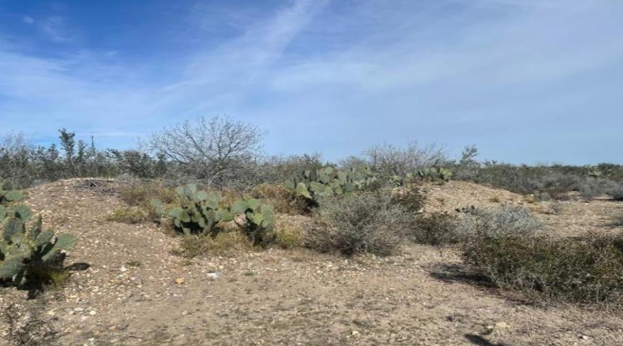59 Las Pilas Rd., Las Pilas Ranch, Texas 78044, ,Land,For Sale,59 Las Pilas Rd.,20251778