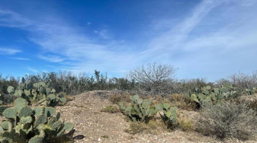 59 Las Pilas Rd., Las Pilas Ranch, Texas 78044, ,Land,For Sale,59 Las Pilas Rd.,20251778