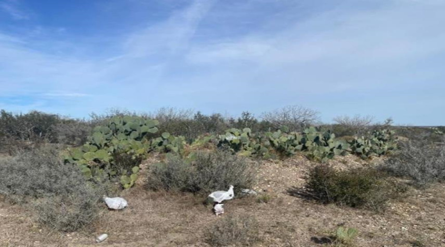 59 Las Pilas Rd., Las Pilas Ranch, Texas 78044, ,Land,For Sale,59 Las Pilas Rd.,20251778