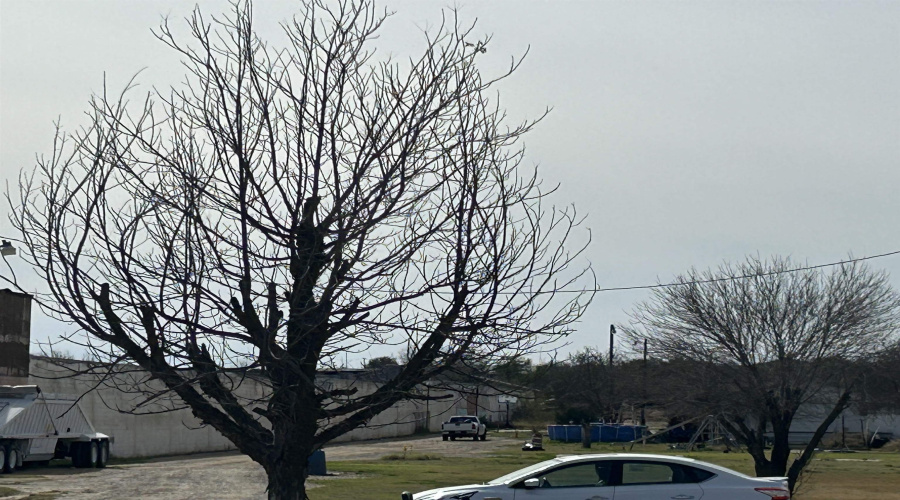 5507 E Saunders St, Laredo, Texas 78041, 1 Bedroom Bedrooms, 6 Rooms Rooms,3 BathroomsBathrooms,Commercial/industrial,For Sale,5507 E Saunders St,20240451