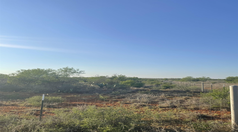 168 Ranch Road 6252C, LAREDO, Texas 78045, ,Land,For Sale,168 Ranch Road 6252C,20251907