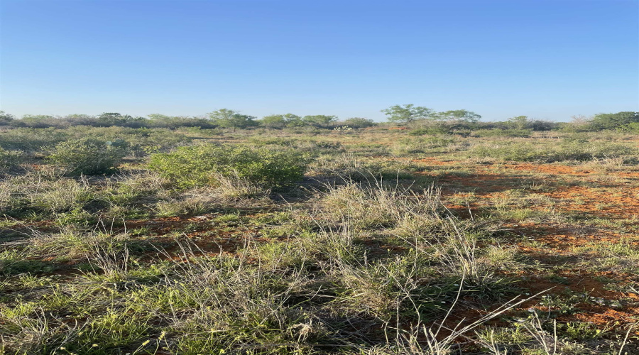 168 Ranch Road 6252C, LAREDO, Texas 78045, ,Land,For Sale,168 Ranch Road 6252C,20251907