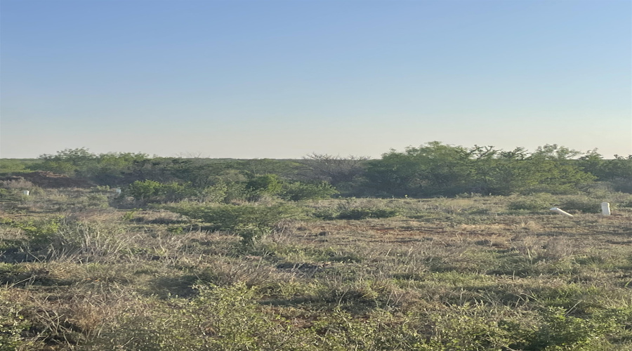 168 Ranch Road 6252C, LAREDO, Texas 78045, ,Land,For Sale,168 Ranch Road 6252C,20251907