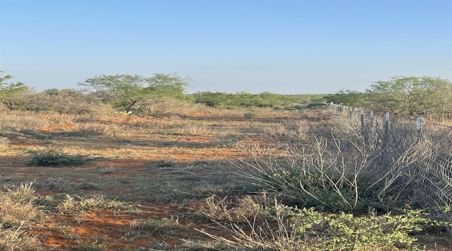 168 Ranch Road 6252C, LAREDO, Texas 78045, ,Land,For Sale,168 Ranch Road 6252C,20251907