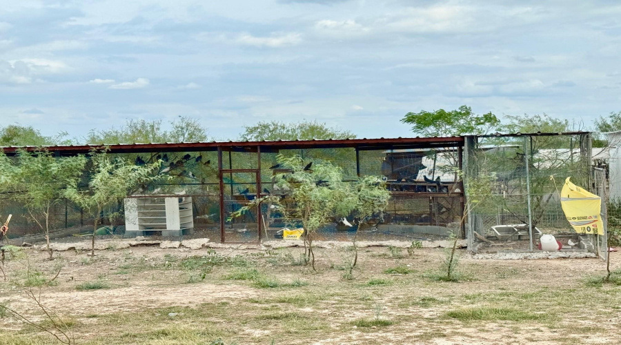 339 Ranch Road 7132J, Laredo, Texas 78040, ,Land,For Sale,339 Ranch Road 7132J,20251991