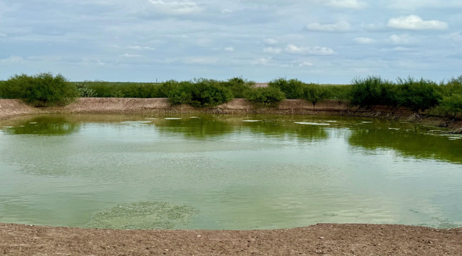 339 Ranch Road 7132J, Laredo, Texas 78040, ,Land,For Sale,339 Ranch Road 7132J,20251991