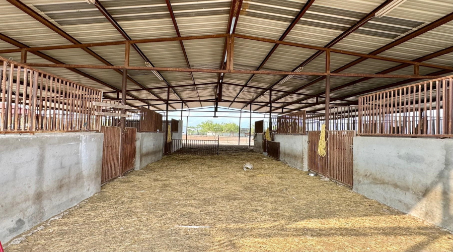 339 Ranch Road 7132J, Laredo, Texas 78040, ,Land,For Sale,339 Ranch Road 7132J,20251991