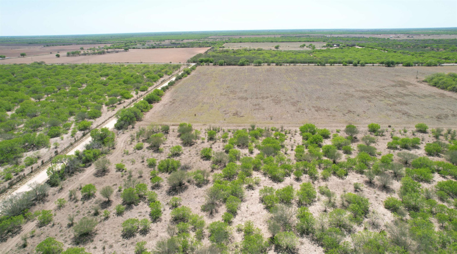 County Rd, Concepcion, Texas 78349, ,Land,For Sale,County Rd,20252063 County Rd, Concepcion, Texas 78349, ,Land,For Sale,County Rd,20252063