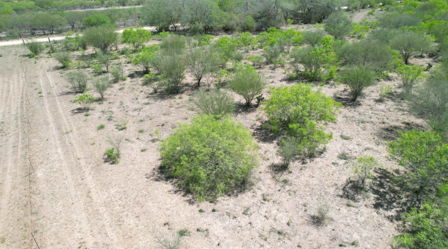 County Rd, Concepcion, Texas 78349, ,Land,For Sale,County Rd,20252063 County Rd, Concepcion, Texas 78349, ,Land,For Sale,County Rd,20252063