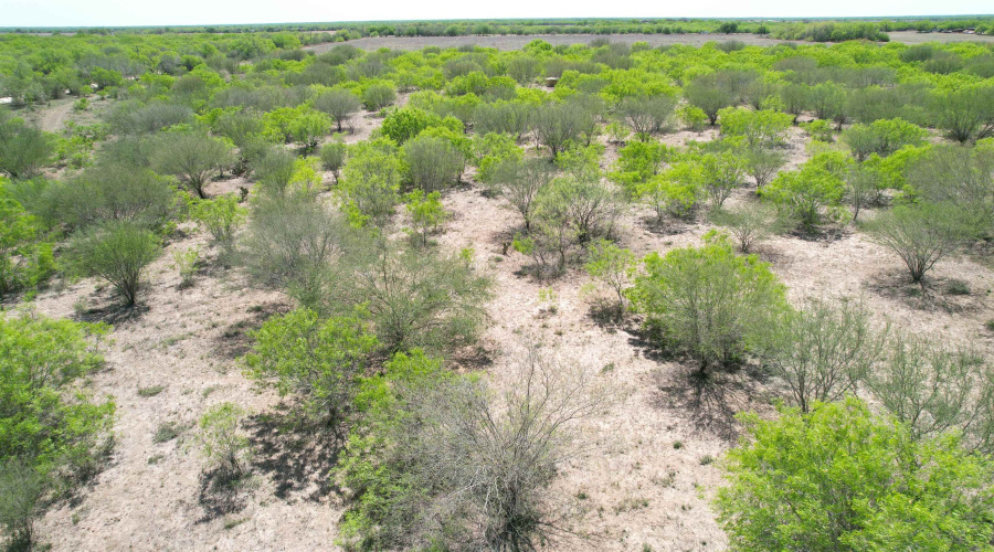 County Rd, Concepcion, Texas 78349, ,Land,For Sale,County Rd,20252063 County Rd, Concepcion, Texas 78349, ,Land,For Sale,County Rd,20252063