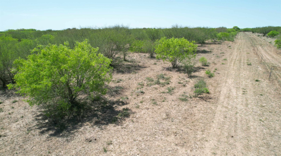County Rd, Concepcion, Texas 78349, ,Land,For Sale,County Rd,20252063 County Rd, Concepcion, Texas 78349, ,Land,For Sale,County Rd,20252063