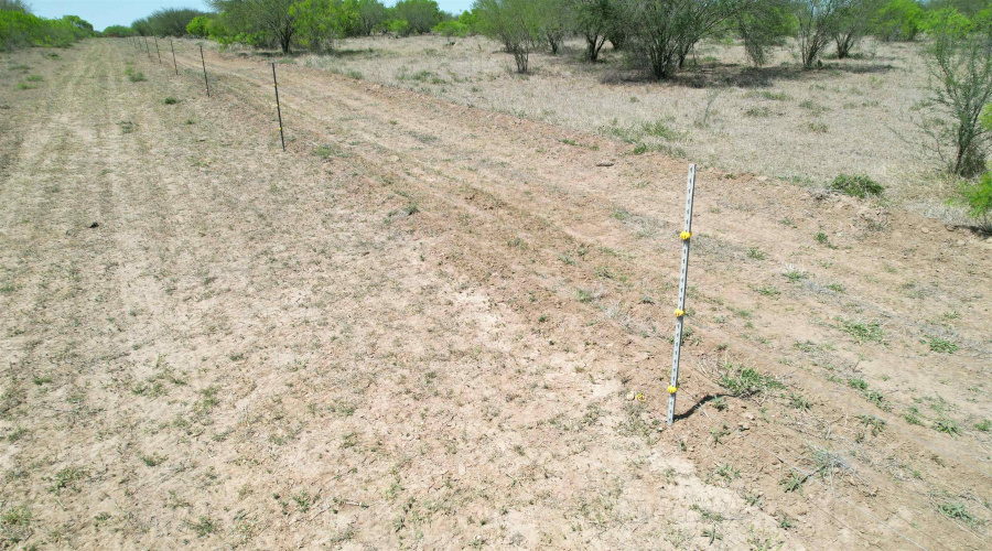 County Rd, Concepcion, Texas 78349, ,Land,For Sale,County Rd,20252063 County Rd, Concepcion, Texas 78349, ,Land,For Sale,County Rd,20252063