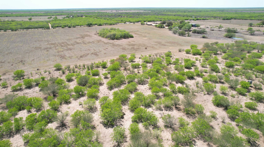 County Rd, Concepcion, Texas 78349, ,Land,For Sale,County Rd,20252063 County Rd, Concepcion, Texas 78349, ,Land,For Sale,County Rd,20252063
