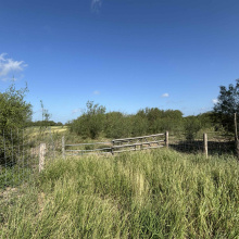 County Rd, Concepcion, Texas 78349, ,Land,For Sale,County Rd,20252063