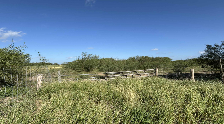 County Rd, Concepcion, Texas 78349, ,Land,For Sale,County Rd,20252063 County Rd, Concepcion, Texas 78349, ,Land,For Sale,County Rd,20252063