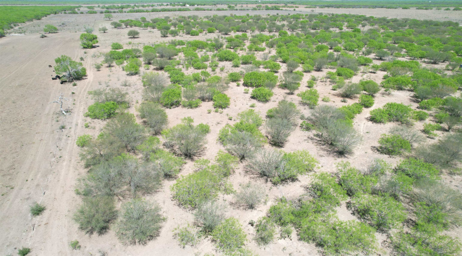 County Rd, Concepcion, Texas 78349, ,Land,For Sale,County Rd,20252063 County Rd, Concepcion, Texas 78349, ,Land,For Sale,County Rd,20252063