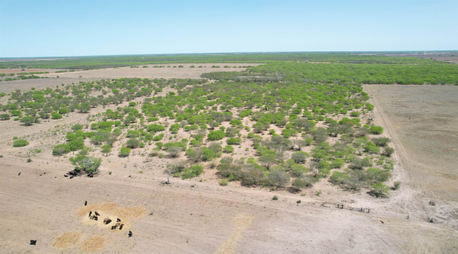 County Rd, Concepcion, Texas 78349, ,Land,For Sale,County Rd,20252063 County Rd, Concepcion, Texas 78349, ,Land,For Sale,County Rd,20252063