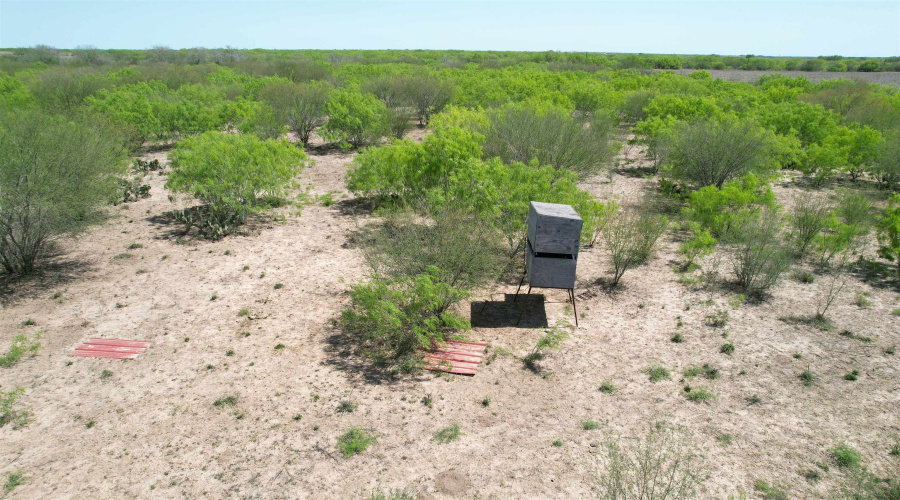 County Rd, Concepcion, Texas 78349, ,Land,For Sale,County Rd,20252063 County Rd, Concepcion, Texas 78349, ,Land,For Sale,County Rd,20252063