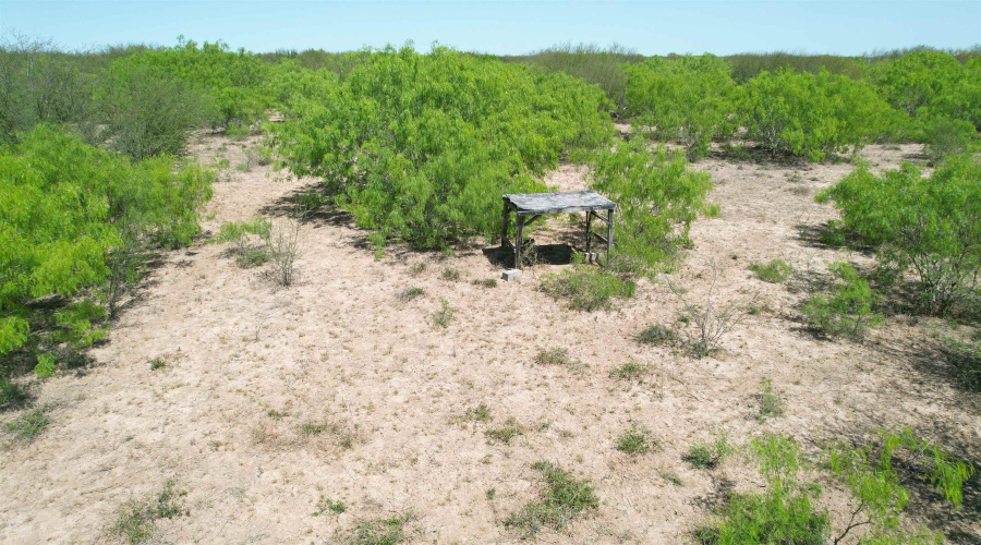 County Rd, Concepcion, Texas 78349, ,Land,For Sale,County Rd,20252063 County Rd, Concepcion, Texas 78349, ,Land,For Sale,County Rd,20252063