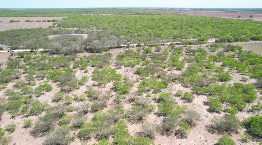 County Rd, Concepcion, Texas 78349, ,Land,For Sale,County Rd,20252063 County Rd, Concepcion, Texas 78349, ,Land,For Sale,County Rd,20252063