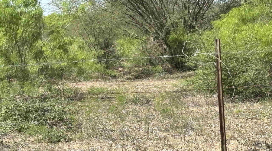 County Rd, Concepcion, Texas 78349, ,Land,For Sale,County Rd,20252063 County Rd, Concepcion, Texas 78349, ,Land,For Sale,County Rd,20252063