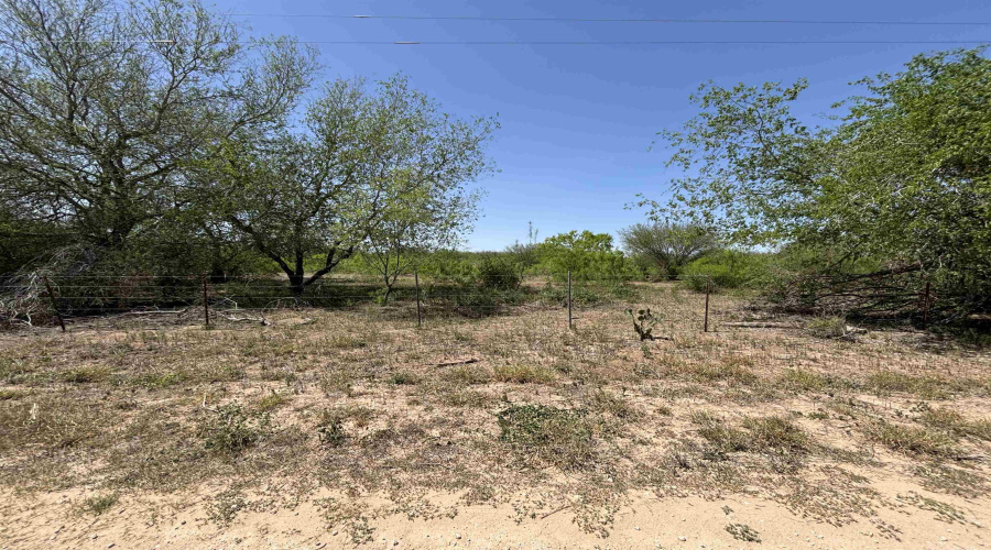 County Rd, Concepcion, Texas 78349, ,Land,For Sale,County Rd,20252063 County Rd, Concepcion, Texas 78349, ,Land,For Sale,County Rd,20252063