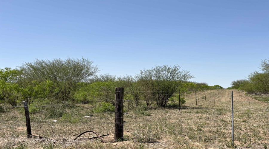 County Rd, Concepcion, Texas 78349, ,Land,For Sale,County Rd,20252063 County Rd, Concepcion, Texas 78349, ,Land,For Sale,County Rd,20252063