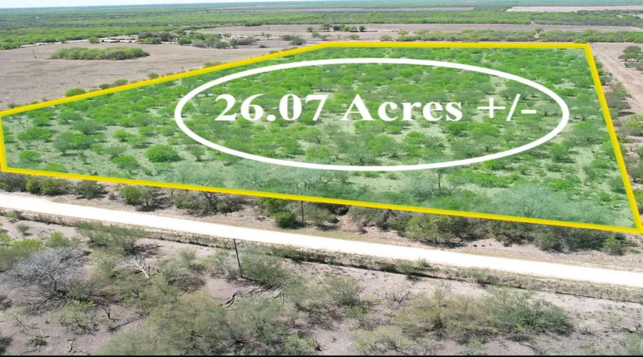 County Rd, Concepcion, Texas 78349, ,Land,For Sale,County Rd,20252063 County Rd, Concepcion, Texas 78349, ,Land,For Sale,County Rd,20252063