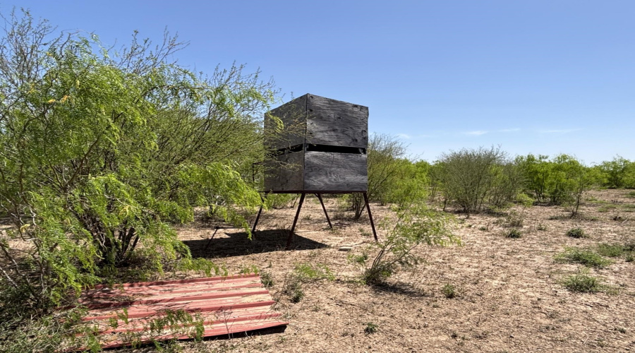 County Rd, Concepcion, Texas 78349, ,Land,For Sale,County Rd,20252063 County Rd, Concepcion, Texas 78349, ,Land,For Sale,County Rd,20252063