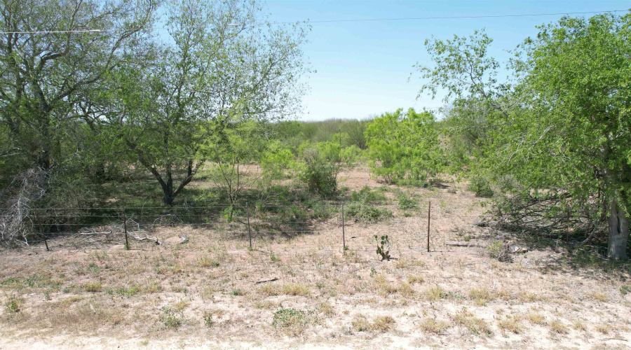 County Rd, Concepcion, Texas 78349, ,Land,For Sale,County Rd,20252063 County Rd, Concepcion, Texas 78349, ,Land,For Sale,County Rd,20252063