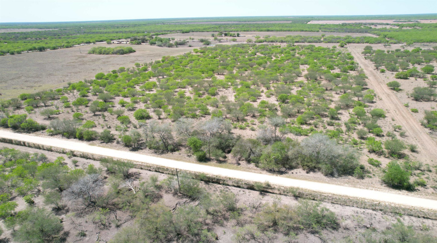County Rd, Concepcion, Texas 78349, ,Land,For Sale,County Rd,20252063 County Rd, Concepcion, Texas 78349, ,Land,For Sale,County Rd,20252063