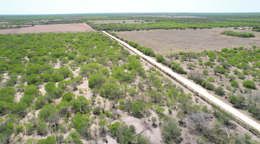 County Rd, Concepcion, Texas 78349, ,Land,For Sale,County Rd,20252063 County Rd, Concepcion, Texas 78349, ,Land,For Sale,County Rd,20252063