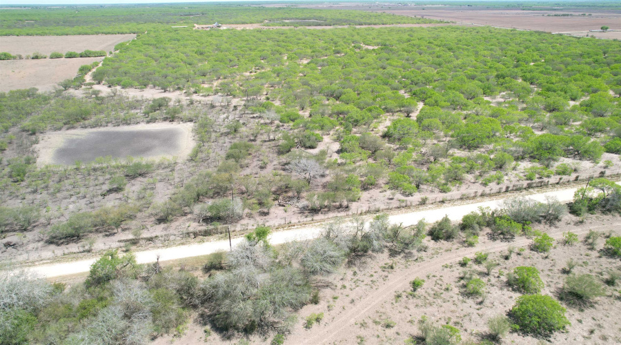 County Rd, Concepcion, Texas 78349, ,Land,For Sale,County Rd,20252063 County Rd, Concepcion, Texas 78349, ,Land,For Sale,County Rd,20252063
