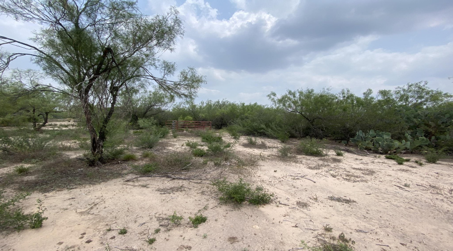 17302 U.S. Hwy 359, Mirando City, Texas 78369, ,Land,For Sale,17302 U.S. Hwy 359,20252166