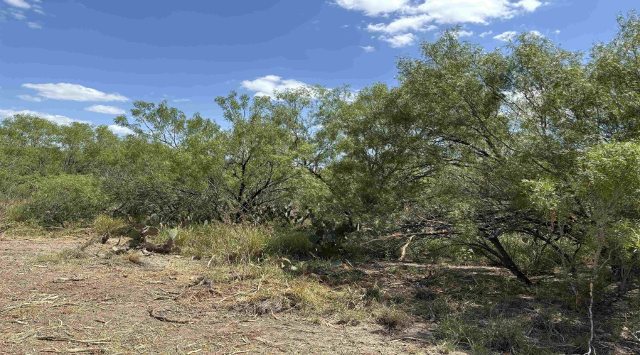 NW 1/2 OF TRS 33 THRU 40 SEC 40 AND 57 THRU 64, FOWLERTON, Texas 78021, ,Land,For Sale,NW 1/2 OF TRS 33 THRU 40 SEC 40 AND 57 THRU 64,20252174