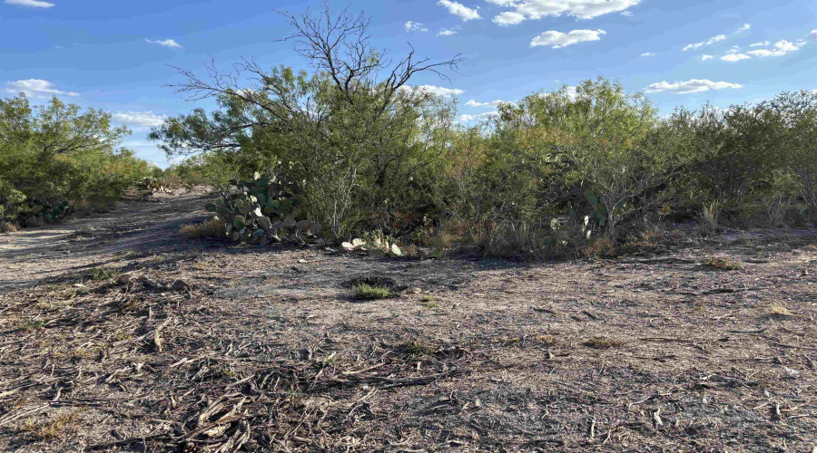 NW 1/2 OF TRS 33 THRU 40 SEC 40 AND 57 THRU 64, FOWLERTON, Texas 78021, ,Land,For Sale,NW 1/2 OF TRS 33 THRU 40 SEC 40 AND 57 THRU 64,20252174