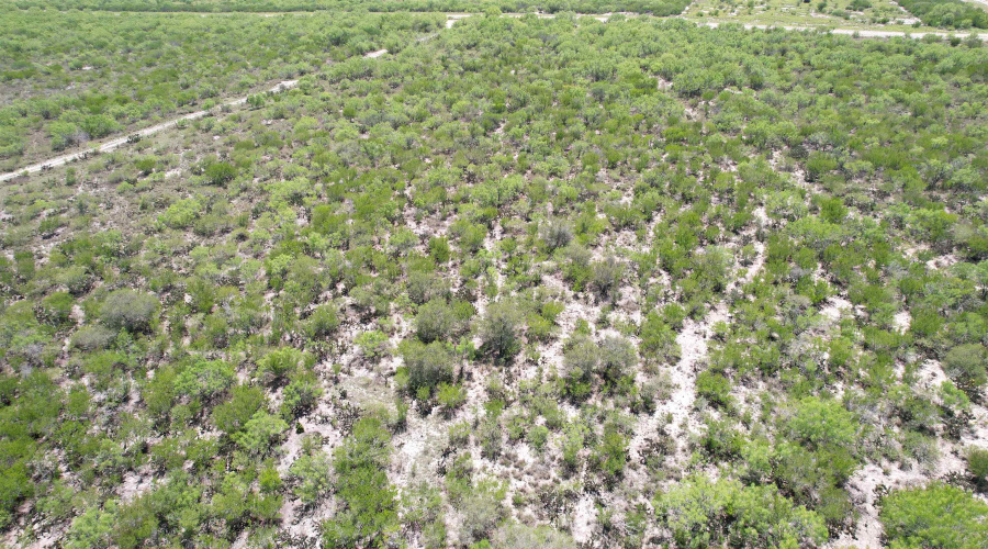 NW 1/2 OF TRS 33 THRU 40 SEC 40 AND 57 THRU 64, FOWLERTON, Texas 78021, ,Land,For Sale,NW 1/2 OF TRS 33 THRU 40 SEC 40 AND 57 THRU 64,20252174