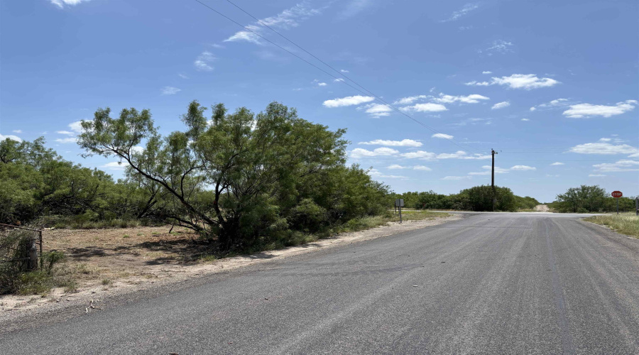 NW 1/2 OF TRS 33 THRU 40 SEC 40 AND 57 THRU 64, FOWLERTON, Texas 78021, ,Land,For Sale,NW 1/2 OF TRS 33 THRU 40 SEC 40 AND 57 THRU 64,20252174