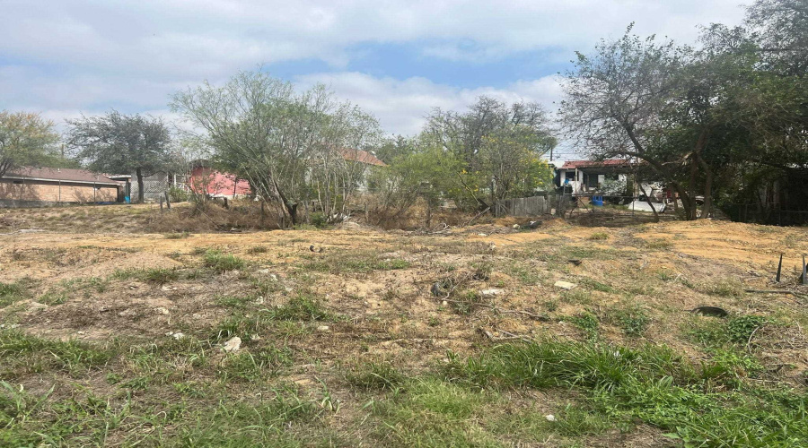 110 W Laredo St, Laredo, Texas 78040, ,Land,For Sale,110 W Laredo St,20252258