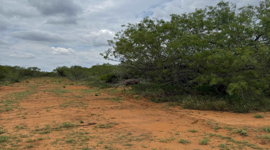 AB 27 Adams Beaty & Moulton SV-77, COTULLA, Texas 78014, ,Land,For Sale,AB 27 Adams Beaty & Moulton SV-77,20252302