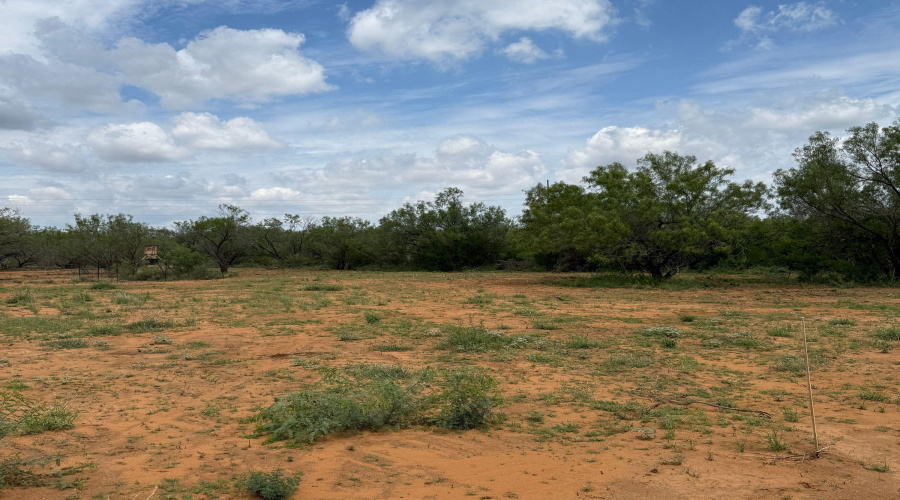 AB 27 Adams Beaty & Moulton SV-77, COTULLA, Texas 78014, ,Land,For Sale,AB 27 Adams Beaty & Moulton SV-77,20252302