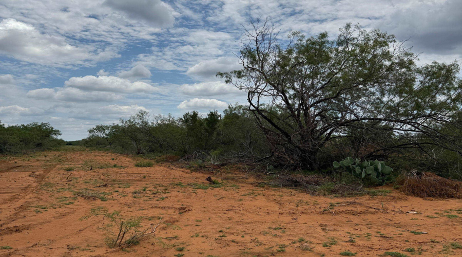 AB 27 Adams Beaty & Moulton SV-77, COTULLA, Texas 78014, ,Land,For Sale,AB 27 Adams Beaty & Moulton SV-77,20252303