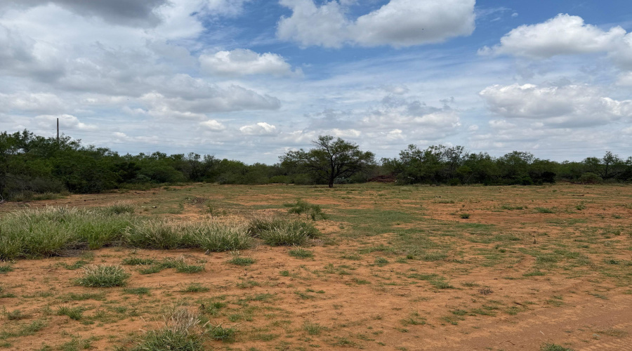 AB 27 Adams Beaty & Moulton SV-77, COTULLA, Texas 78014, ,Land,For Sale,AB 27 Adams Beaty & Moulton SV-77,20252303